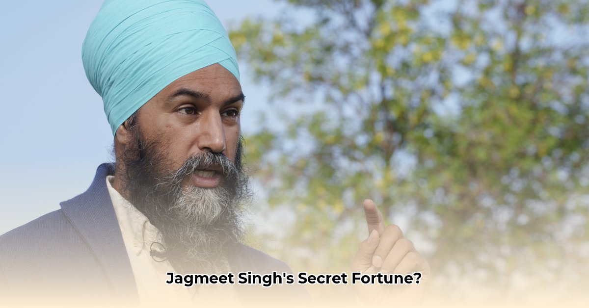 jagmeet-singh-net-worth
